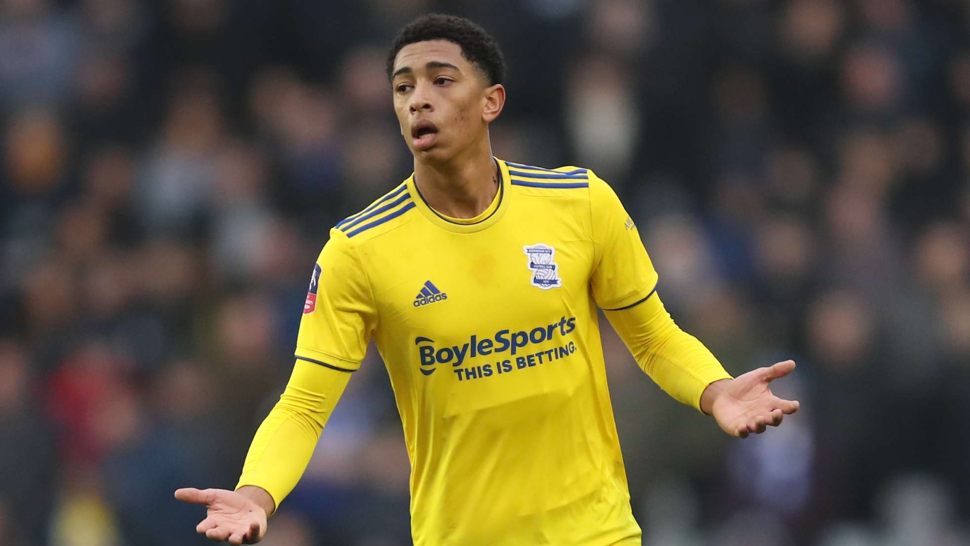 在主场比赛 在主场比赛