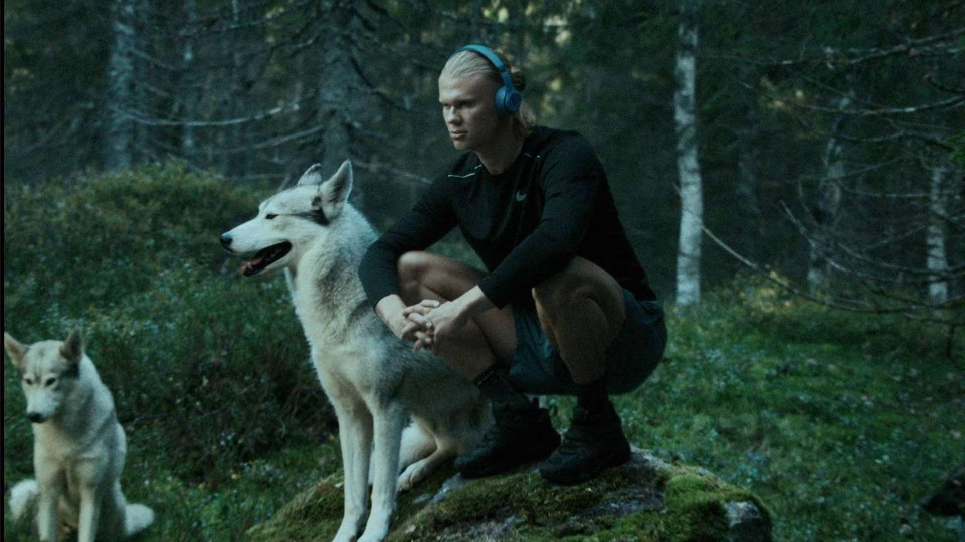 更重要的是 更重要的是